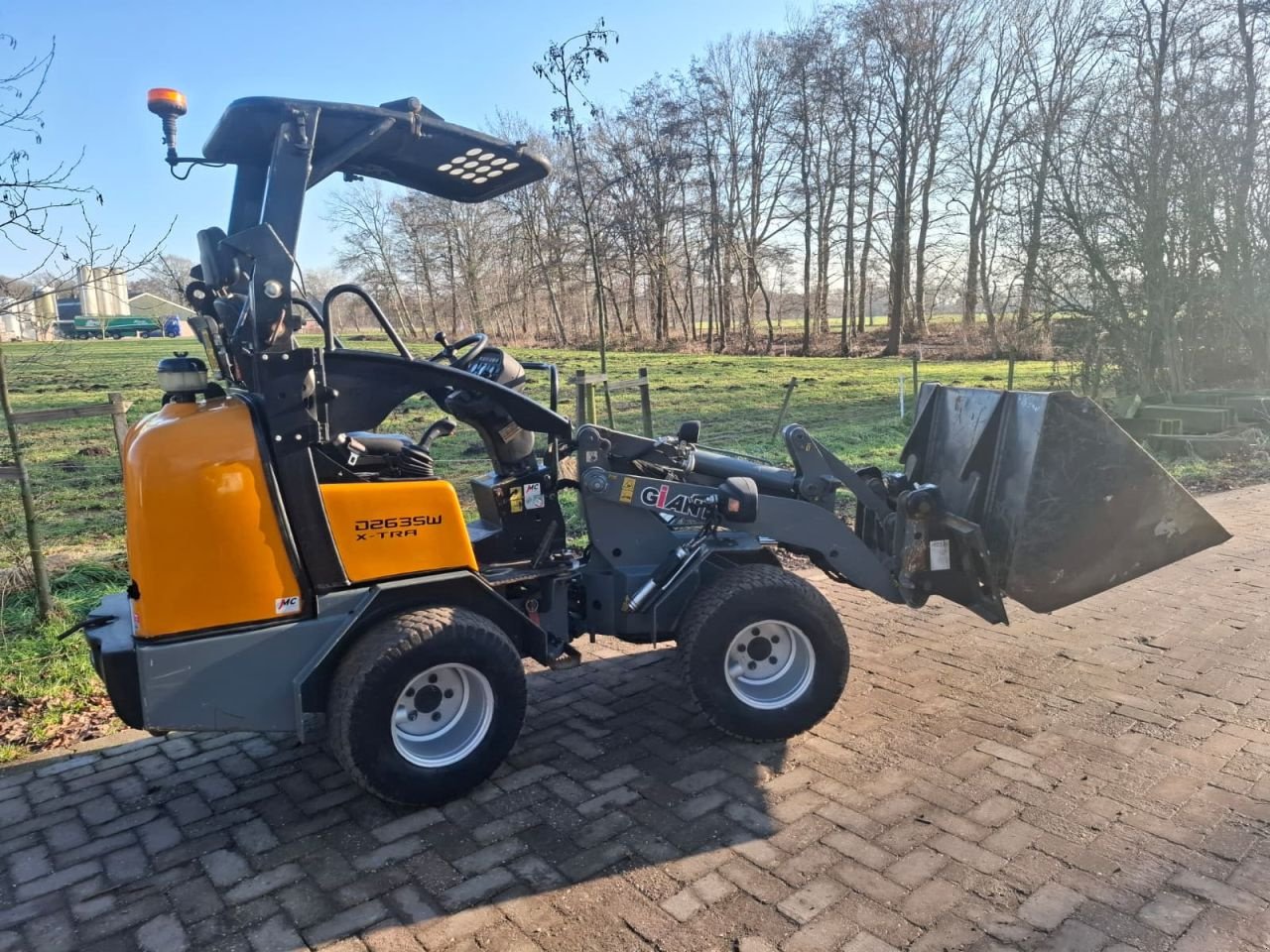 Kompaktlader typu Sonstige Giant, Gebrauchtmaschine v Terschuur (Obrázek 5)