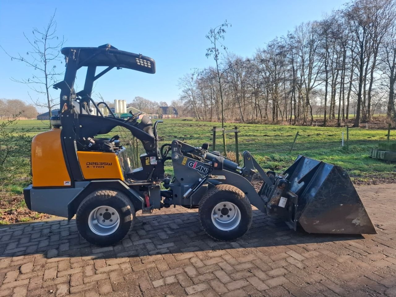 Kompaktlader typu Sonstige Giant, Gebrauchtmaschine v Terschuur (Obrázek 6)