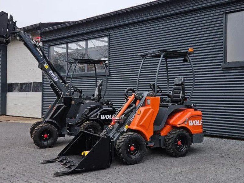 Kompaktlader типа Sonstige WOLF TAIAN DY 620 speciale aanbieding!!, Gebrauchtmaschine в Scharsterbrug (Фотография 1)