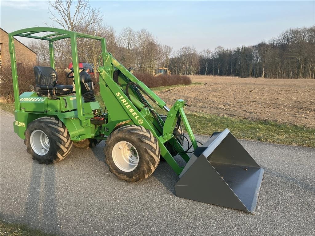 Kompaktlader des Typs Striegel 300 Dy/a, Gebrauchtmaschine in Horsens (Bild 3)