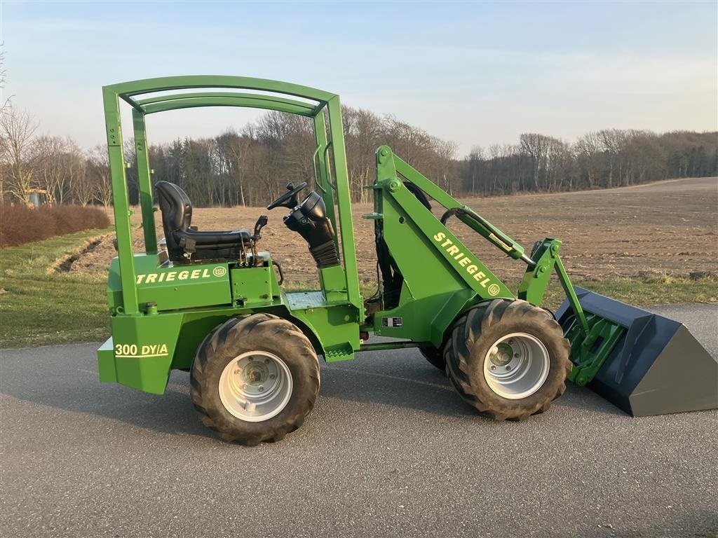 Kompaktlader des Typs Striegel 300 Dy/a, Gebrauchtmaschine in Horsens (Bild 2)