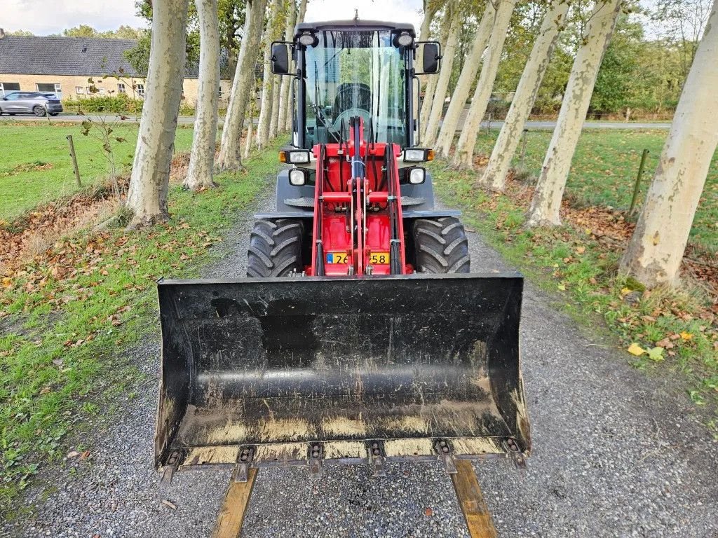 Kompaktlader van het type Terex TL 65 Wiellader Minishovel Radlader Shovel (VERKOCHT/SOLD), Gebrauchtmaschine in Bergen op Zoom (Foto 5)