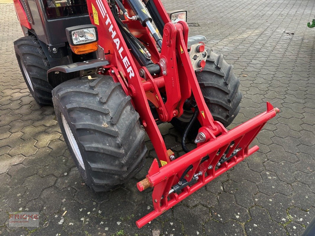 Kompaktlader des Typs Thaler 2438 S, Gebrauchtmaschine in Bockel - Gyhum (Bild 4)