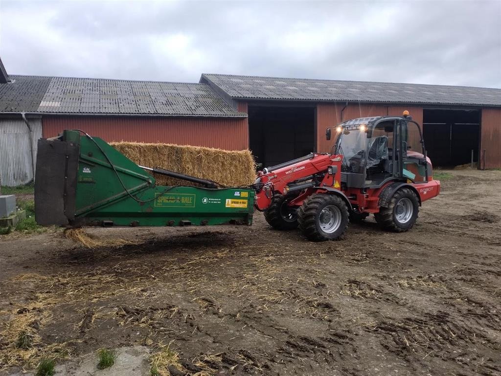 Kompaktlader del tipo Weidemann  Alle modeller Weidemann alle modeller., Gebrauchtmaschine In Gram (Immagine 22)