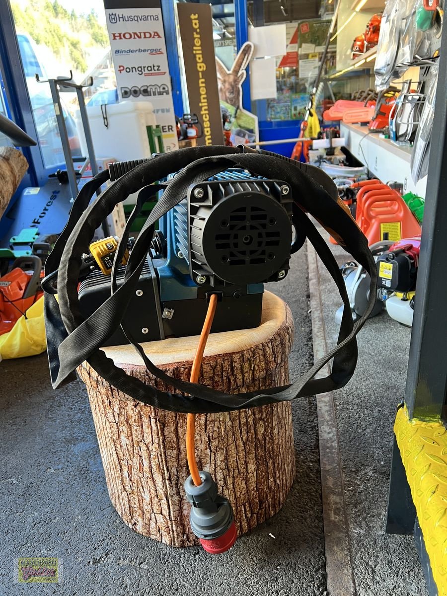 Kran des Typs Sonstige Demag Blue Elektrokettenzug, Gebrauchtmaschine in Kötschach (Bild 3)