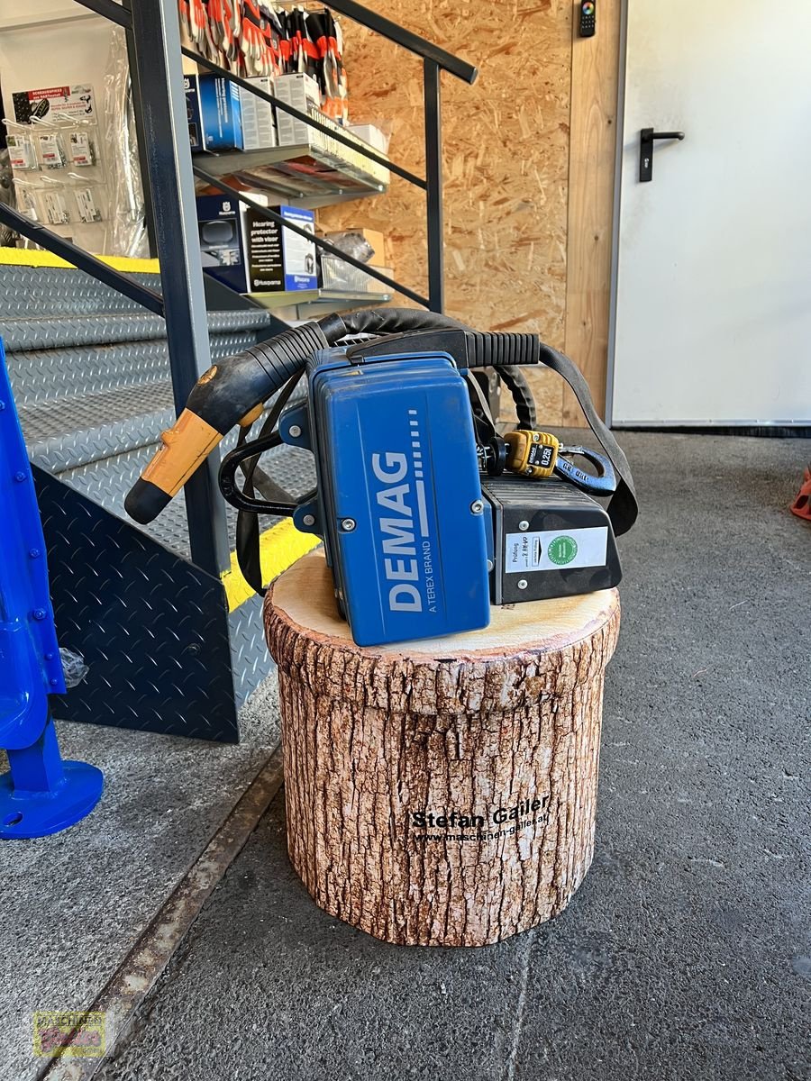 Kran des Typs Sonstige Demag Blue Elektrokettenzug, Gebrauchtmaschine in Kötschach (Bild 4)