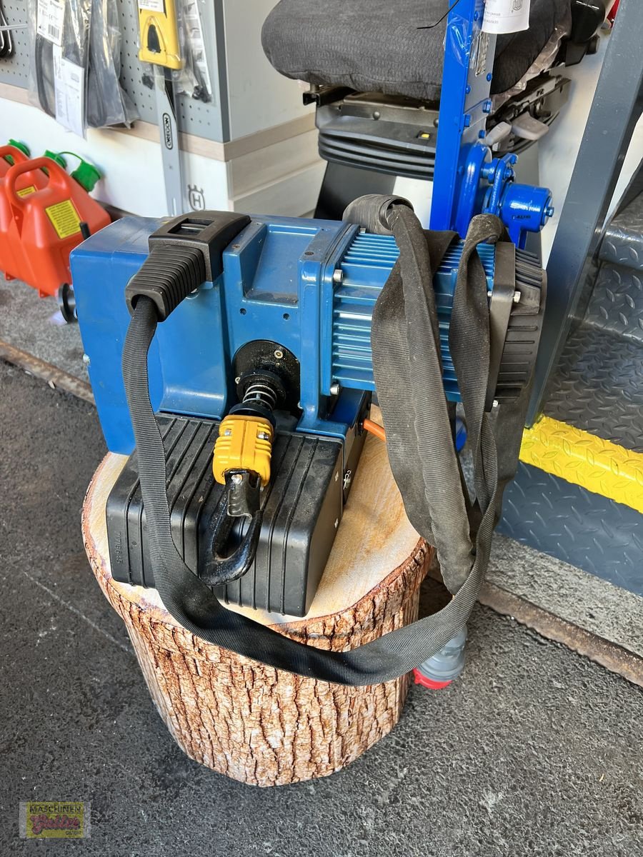Kran des Typs Sonstige Demag Blue Elektrokettenzug, Gebrauchtmaschine in Kötschach (Bild 1)