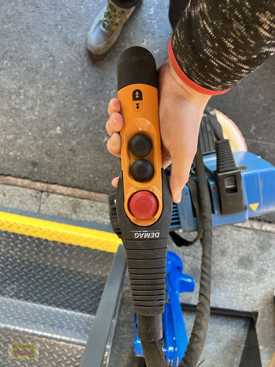 Kran des Typs Sonstige Demag Blue Elektrokettenzug, Gebrauchtmaschine in Kötschach (Bild 5)