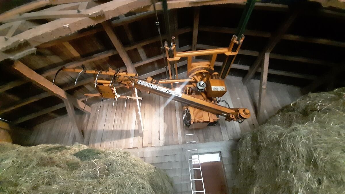 Kran van het type Sonstige LK3 Tele-Robot, Gebrauchtmaschine in Bruck (Foto 1)