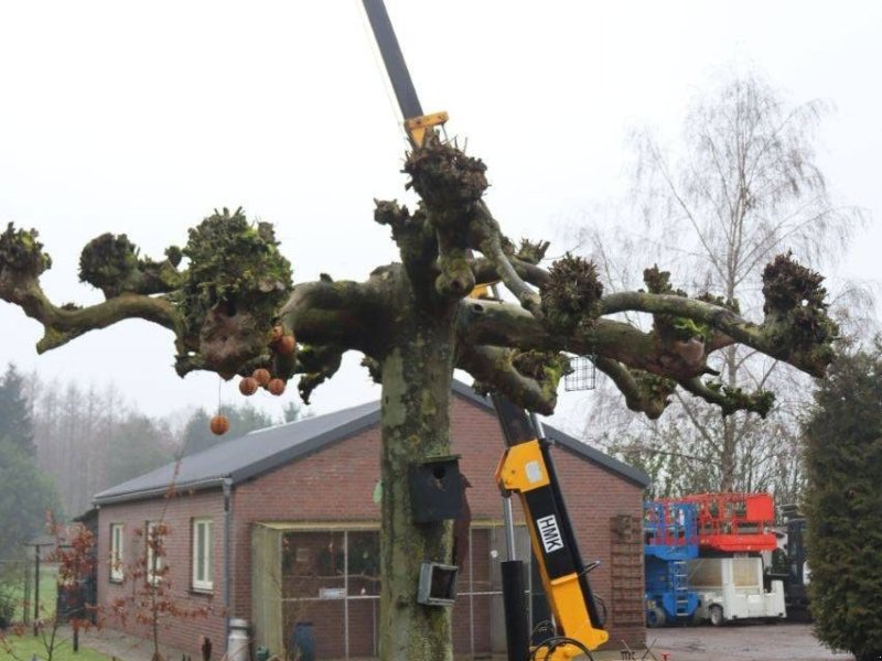 Kran of the type Sonstige SK-701, Gebrauchtmaschine in Antwerpen (Picture 1)