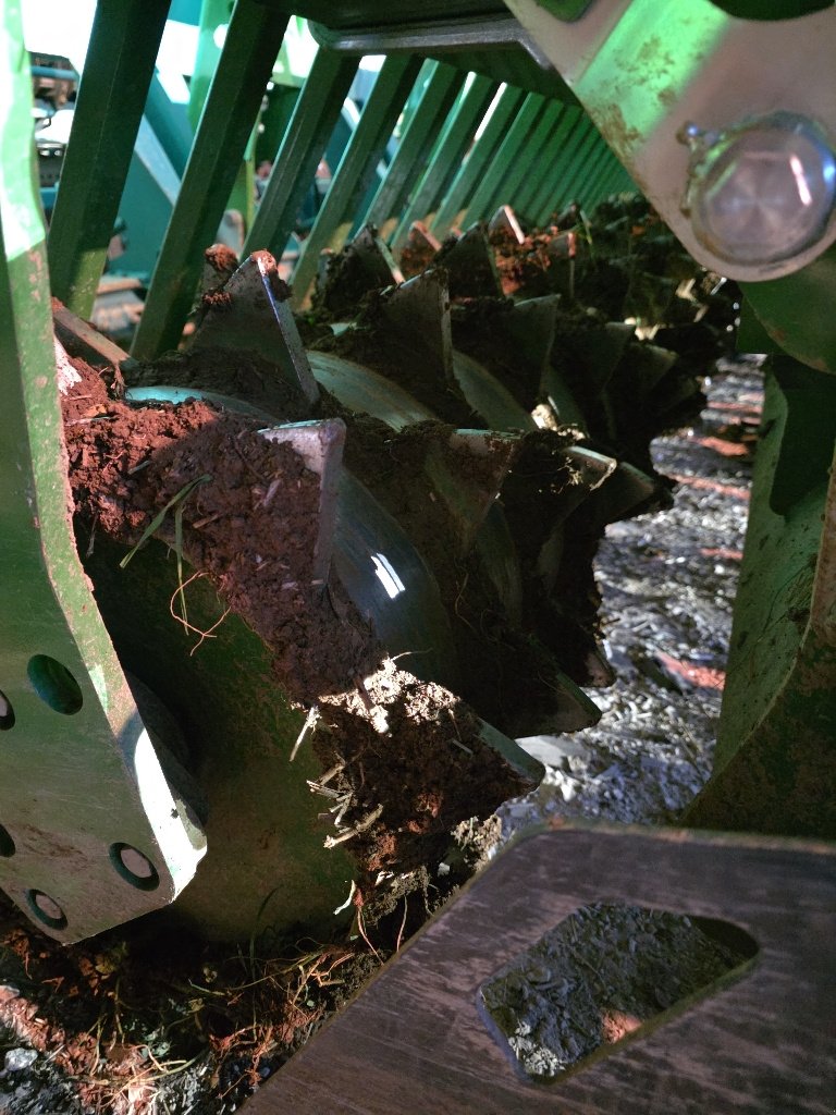 Kreiselegge of the type Amazone KG 3001 special, Gebrauchtmaschine in Calmont (Picture 7)