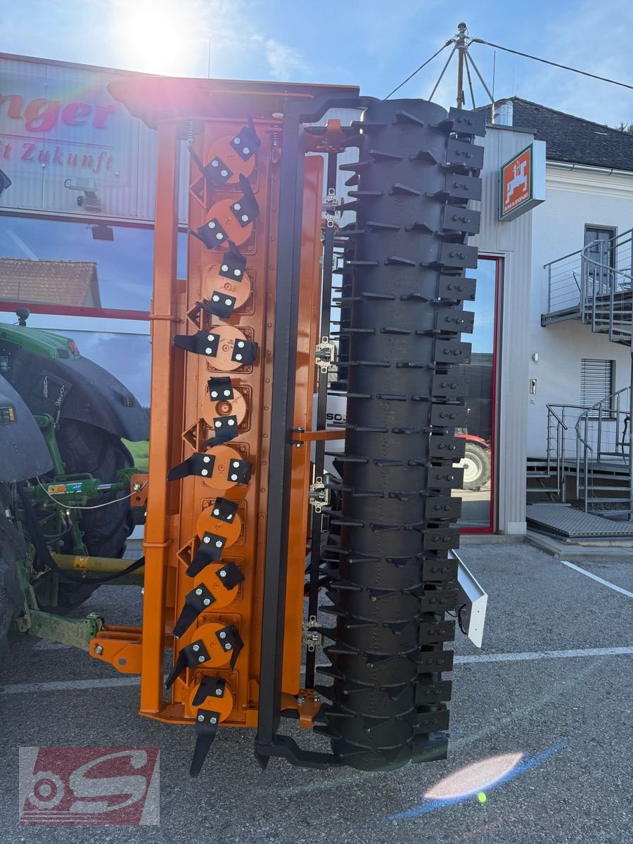 Kreiselegge typu Berti Atlantico, Vorführmaschine v Offenhausen (Obrázek 4)