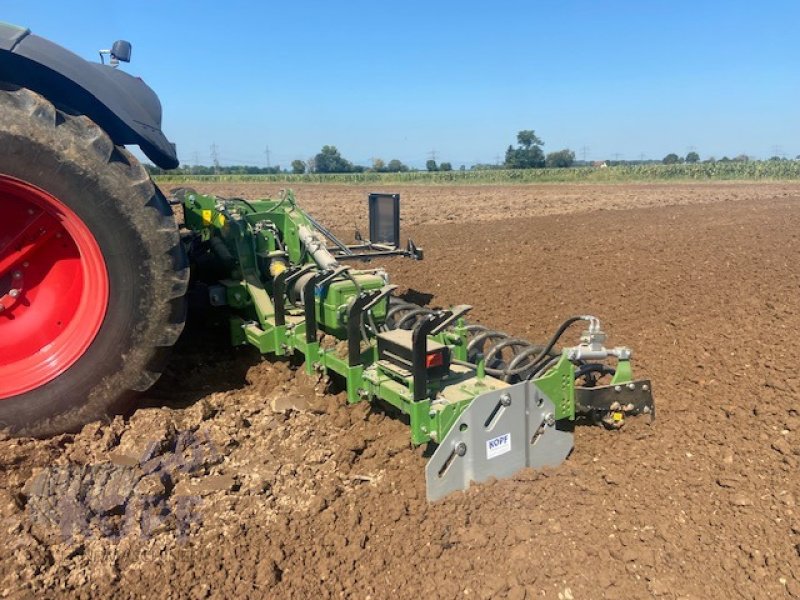 Kreiselegge des Typs Celli Celli Energy P Kreiselegge 6m Zahnpackerwalze D55 NEU, Neumaschine in Schutterzell (Bild 5)