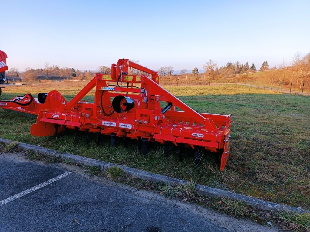 Kreiselegge tip Gaspardo Dominator 3000, Gebrauchtmaschine in SAINT VICTURNIEN (Poză 1)