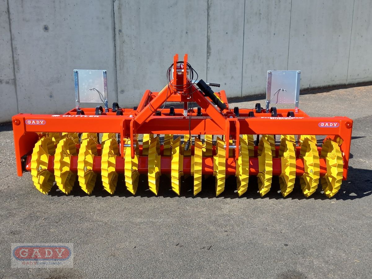 Kreiselegge Türe ait Güttler DUPLEX DX30-56, Neumaschine içinde Lebring (resim 2)