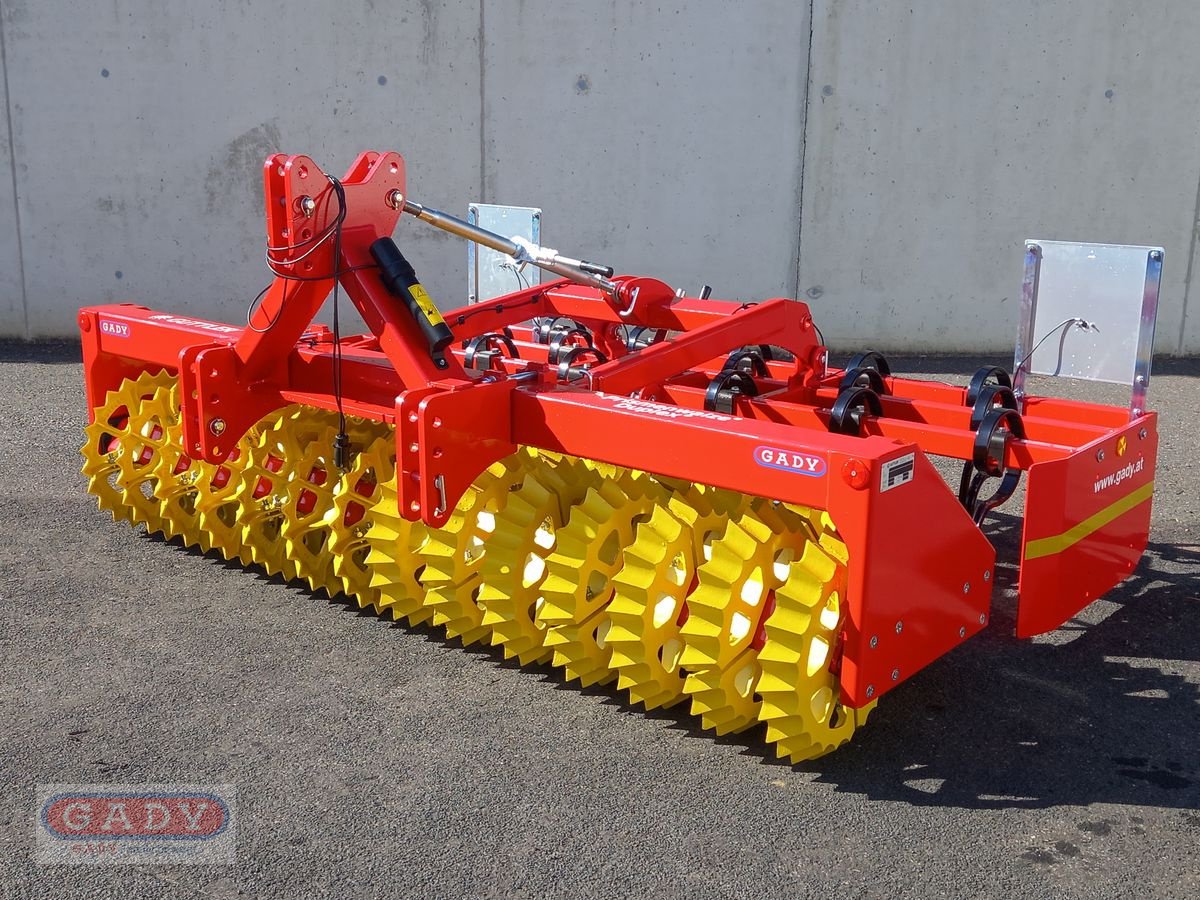 Kreiselegge Türe ait Güttler DUPLEX DX30-56, Neumaschine içinde Lebring (resim 1)