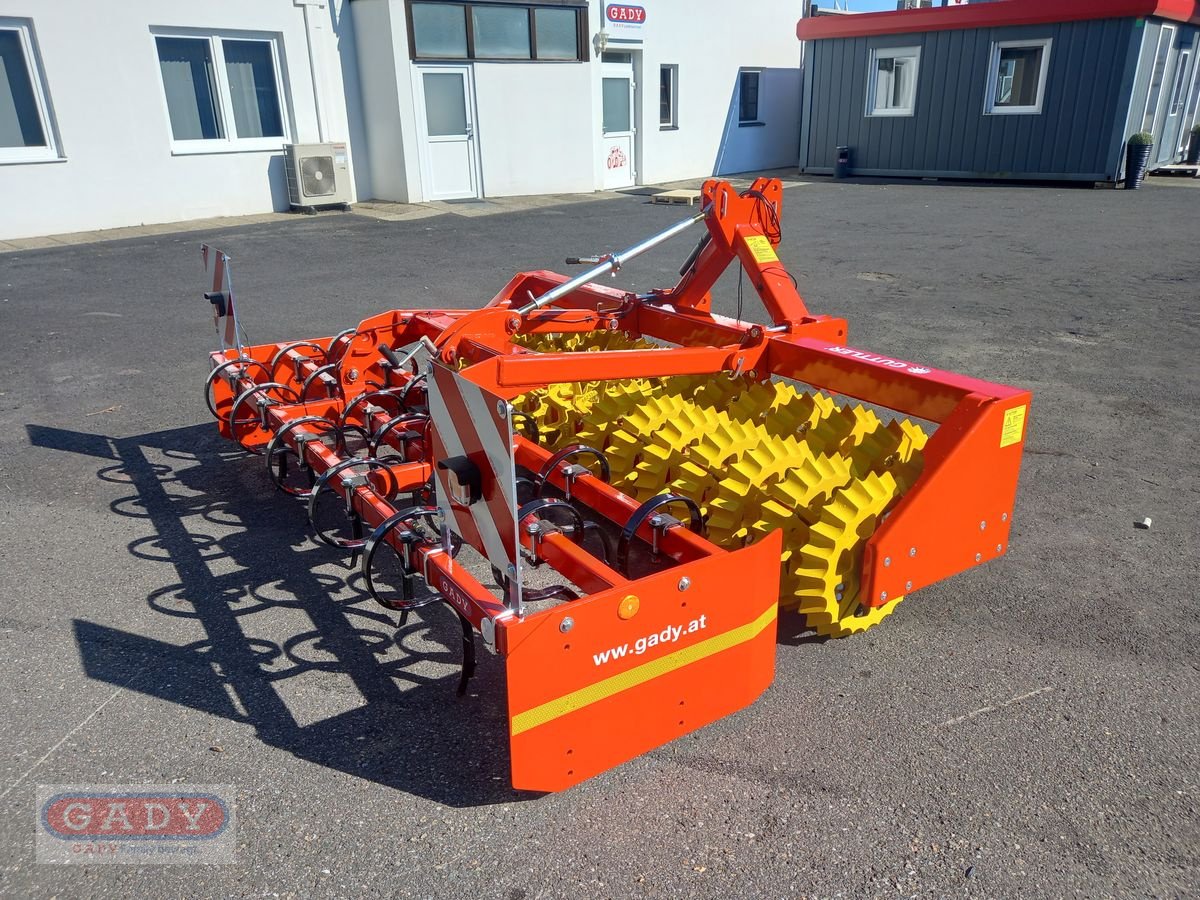 Kreiselegge Türe ait Güttler DUPLEX DX30-56, Neumaschine içinde Lebring (resim 5)