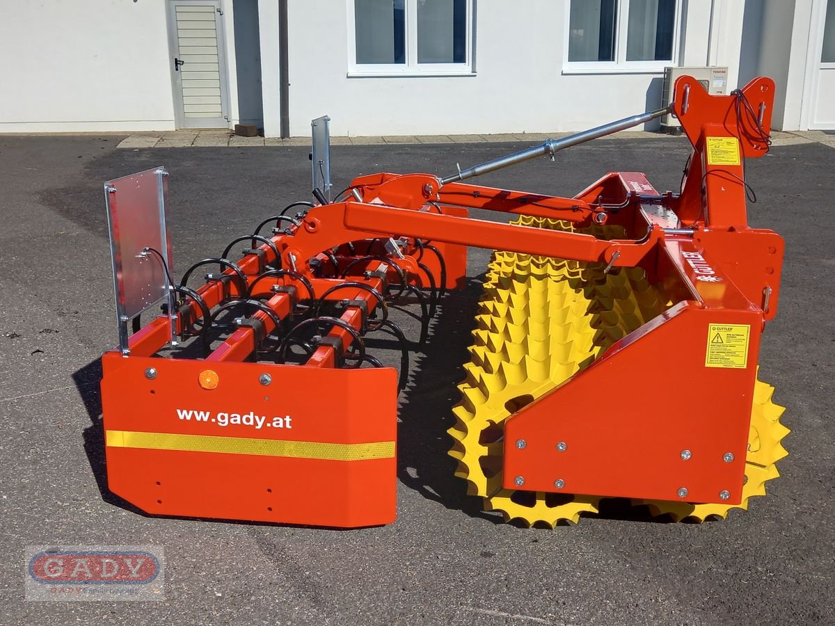 Kreiselegge Türe ait Güttler DUPLEX DX30-56, Neumaschine içinde Lebring (resim 4)