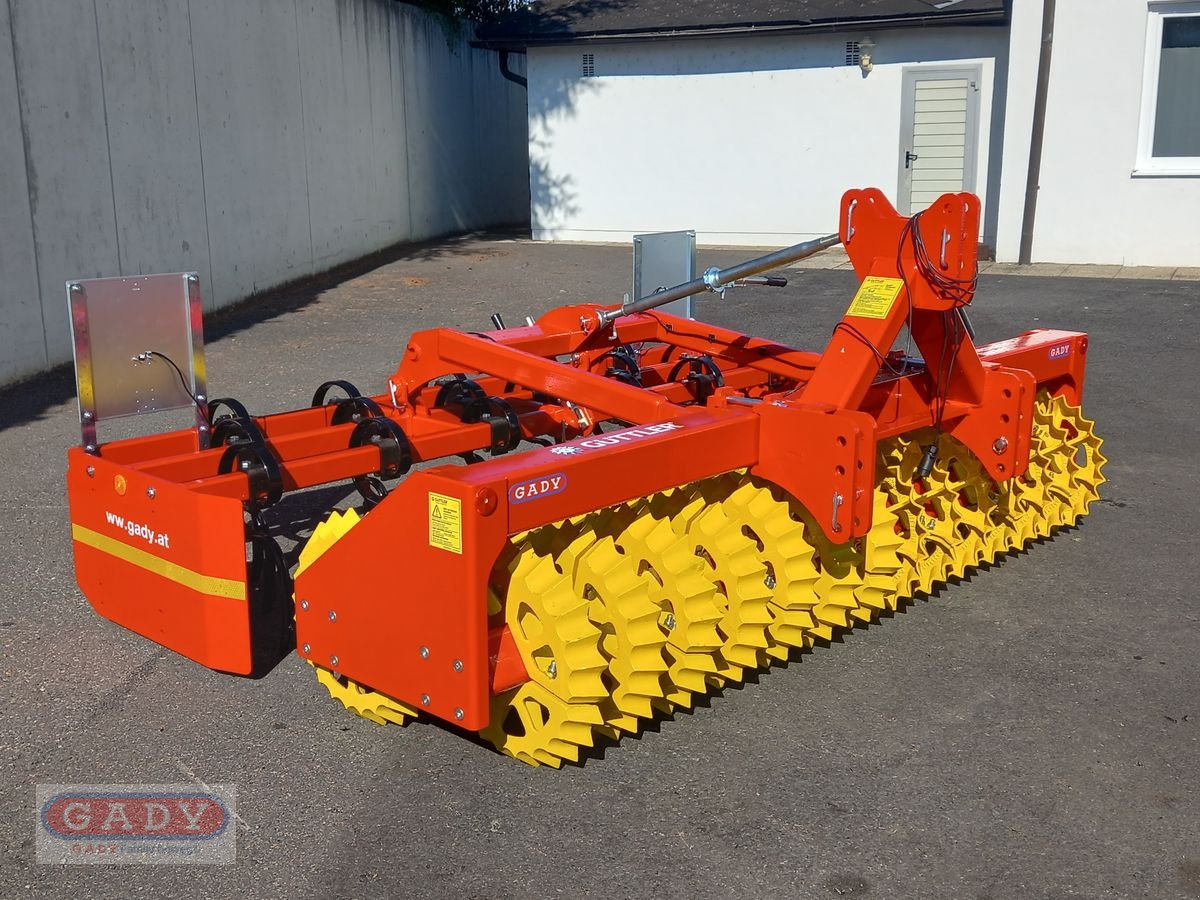 Kreiselegge Türe ait Güttler DUPLEX DX30-56, Neumaschine içinde Lebring (resim 3)