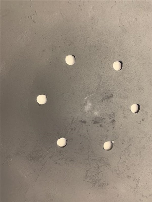 Kreiselegge des Typs Horsch Joker Tallerken/Disc 620 x 6 mm - 6 huller, Gebrauchtmaschine in Ringe (Bild 9)