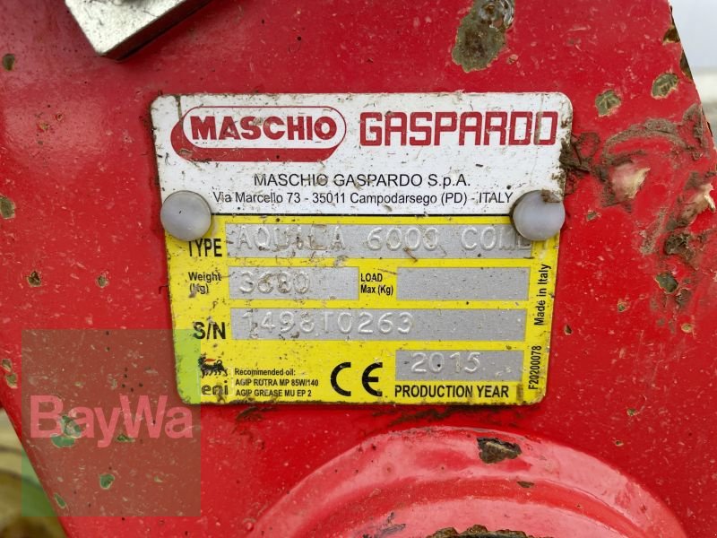 Kreiselegge a típus Maschio AQUILA RAPIDO 6000, Gebrauchtmaschine ekkor: Bamberg (Kép 20)
