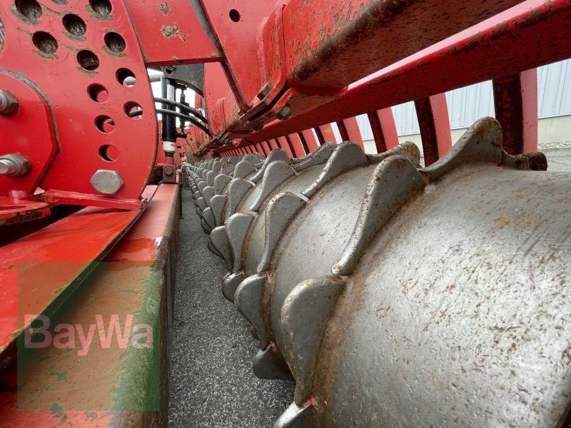 Kreiselegge a típus Maschio AQUILA RAPIDO 6000, Gebrauchtmaschine ekkor: Bamberg (Kép 14)