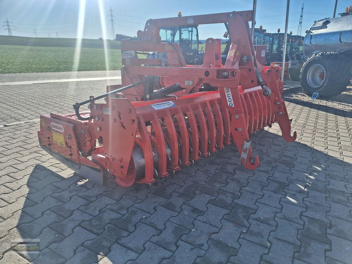 Kreiselegge tip Maschio Daino DS 2500 ZPW+AT, Gebrauchtmaschine in Aurolzmünster (Poză 3)