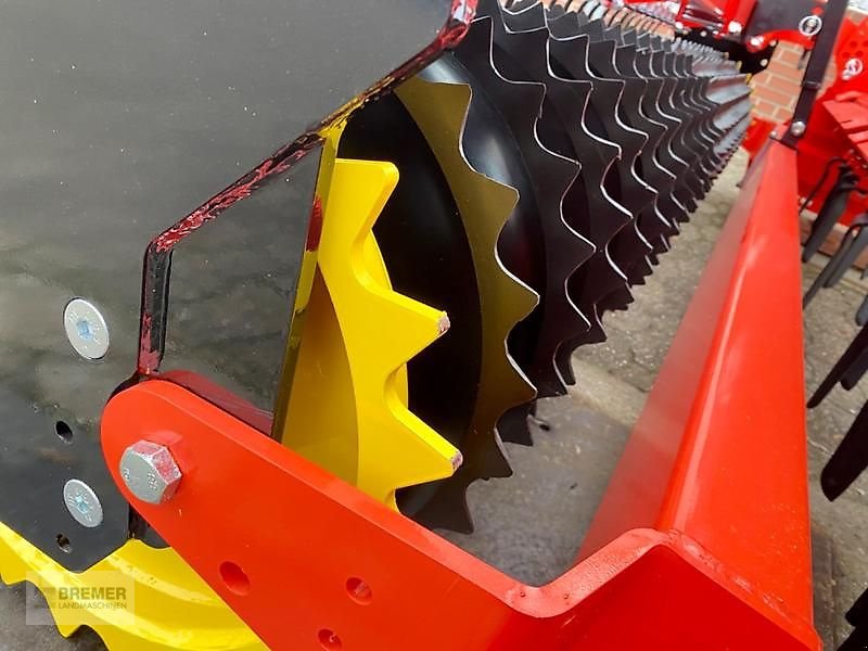 Kreiselegge Türe ait Maschio DC 3000 CLASSIC, Gebrauchtmaschine içinde Asendorf (resim 11)