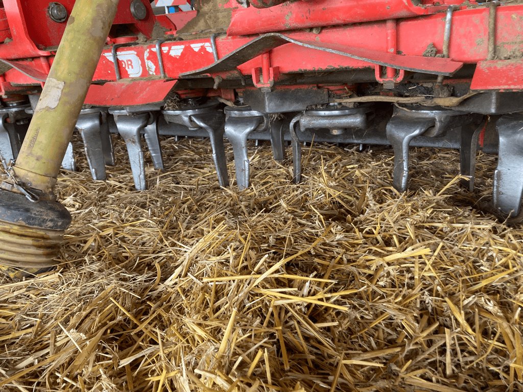 Kreiselegge vrste Maschio DM 3000, Gebrauchtmaschine v CONDE SUR VIRE (Slika 3)