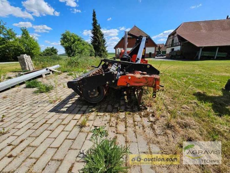 Kreiselegge del tipo Maschio DM 3000, Gebrauchtmaschine In Rinteln (Immagine 2)