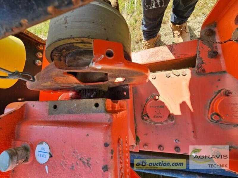 Kreiselegge del tipo Maschio DM 3000, Gebrauchtmaschine In Rinteln (Immagine 6)