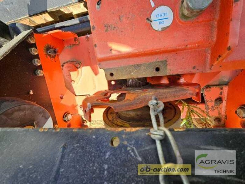 Kreiselegge del tipo Maschio DM 3000, Gebrauchtmaschine In Rinteln (Immagine 5)