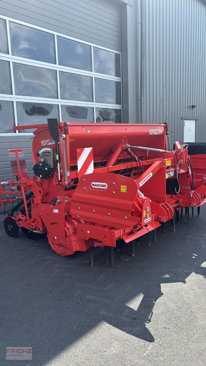 Kreiselegge of the type Maschio DM Rapido Plus 3000, Neumaschine in Bockel - Gyhum (Picture 1)