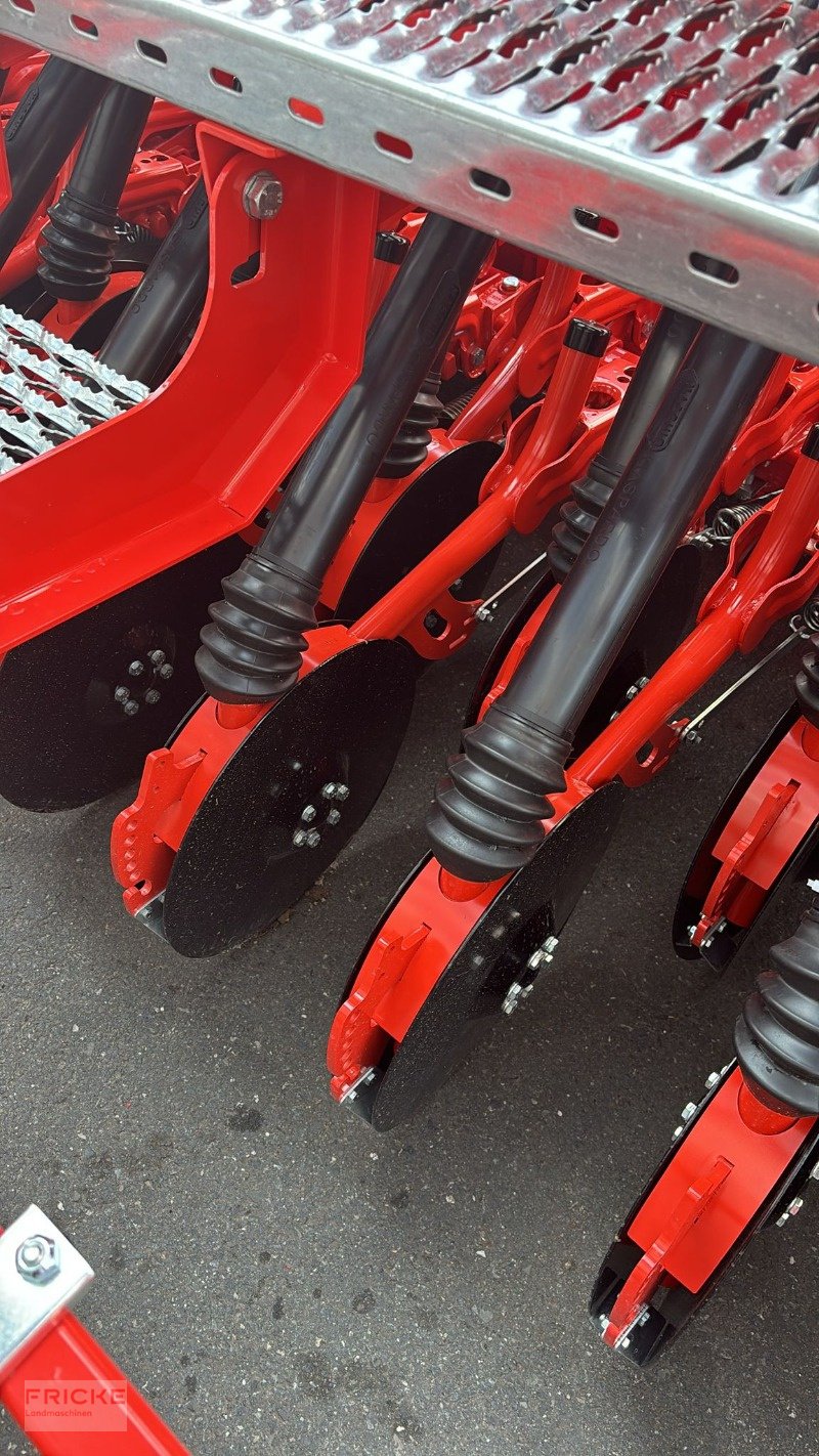 Kreiselegge of the type Maschio DM Rapido Plus 3000, Neumaschine in Bockel - Gyhum (Picture 4)