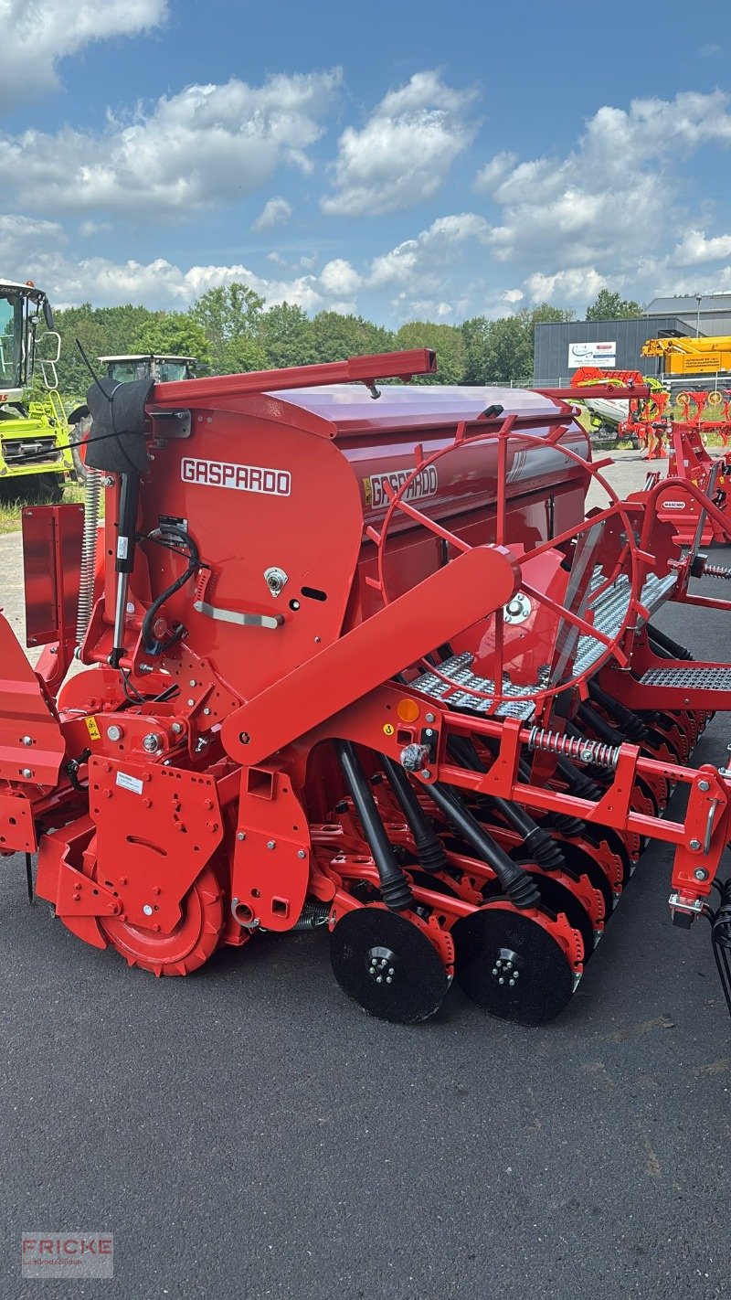 Kreiselegge of the type Maschio DM Rapido Plus 3000, Neumaschine in Bockel - Gyhum (Picture 7)