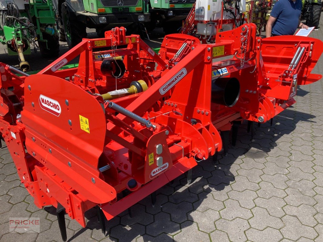 Kreiselegge del tipo Maschio DM Rapido Plus 3000, Neumaschine In Bockel - Gyhum (Immagine 4)