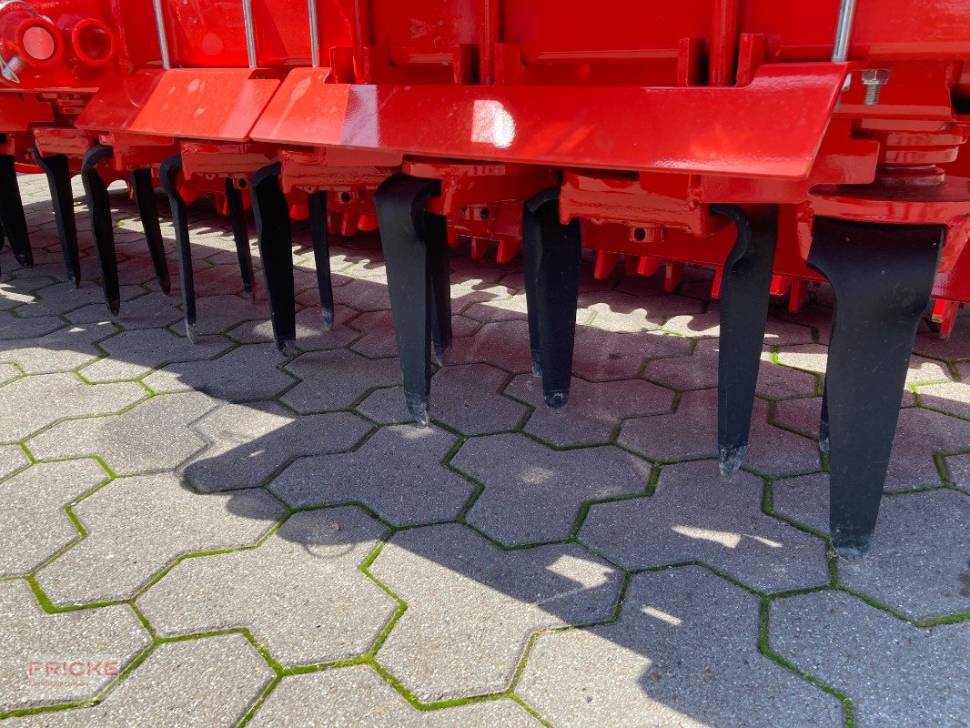 Kreiselegge of the type Maschio DM Rapido Plus 3000, Neumaschine in Bockel - Gyhum (Picture 11)