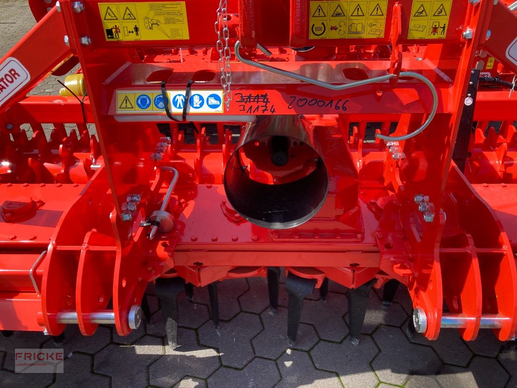 Kreiselegge of the type Maschio DM Rapido Plus 3000, Neumaschine in Bockel - Gyhum (Picture 12)
