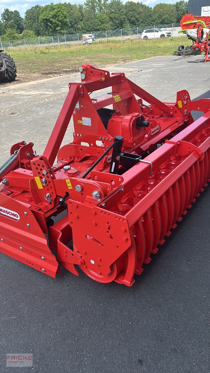 Kreiselegge of the type Maschio DM Rapido Plus 3000, Neumaschine in Bockel - Gyhum (Picture 1)