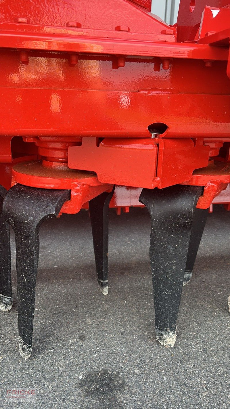 Kreiselegge of the type Maschio DM Rapido Plus 3000, Neumaschine in Bockel - Gyhum (Picture 4)