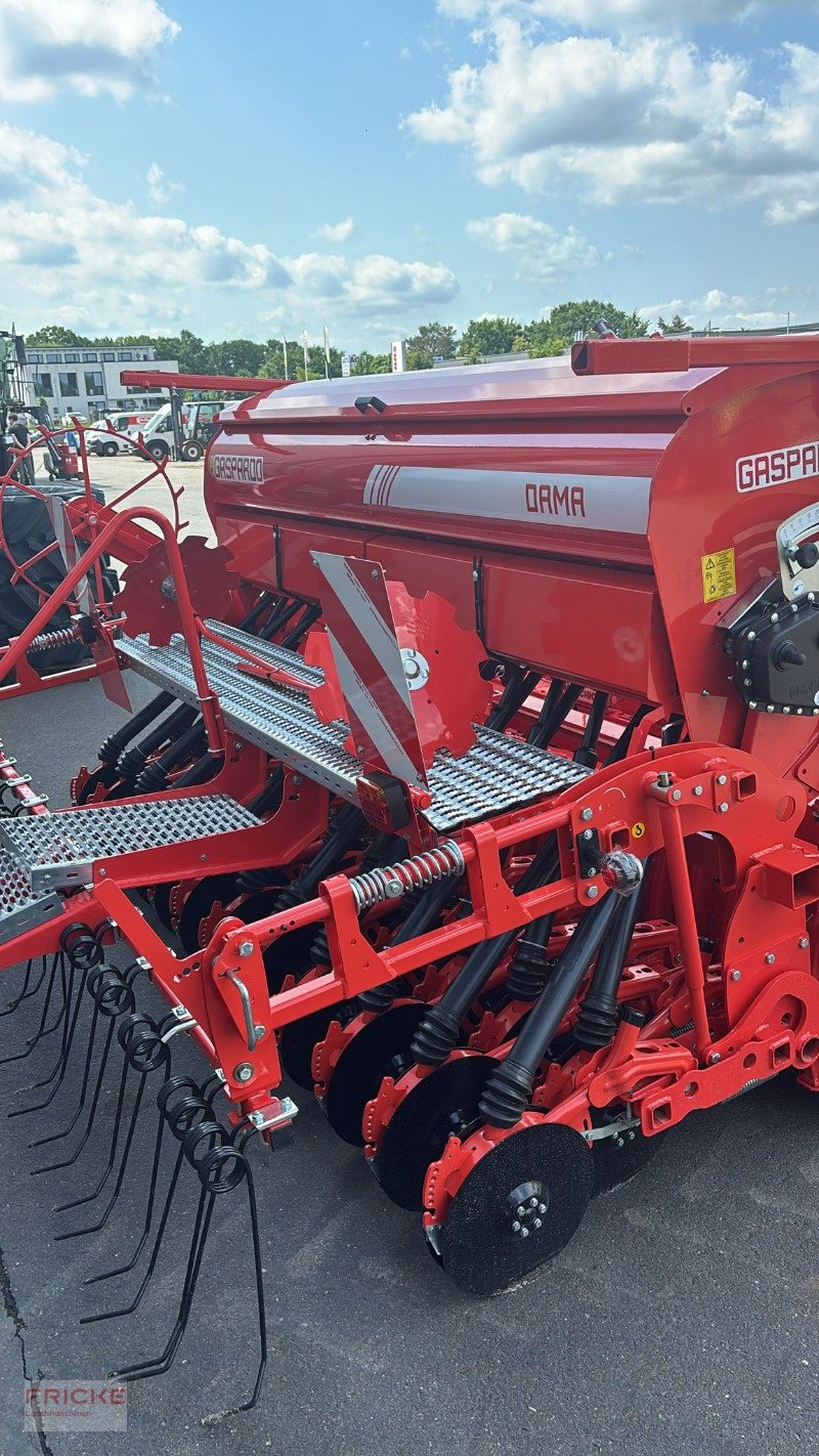 Kreiselegge des Typs Maschio DM Rapido Plus 3000, Neumaschine in Bockel - Gyhum (Bild 3)