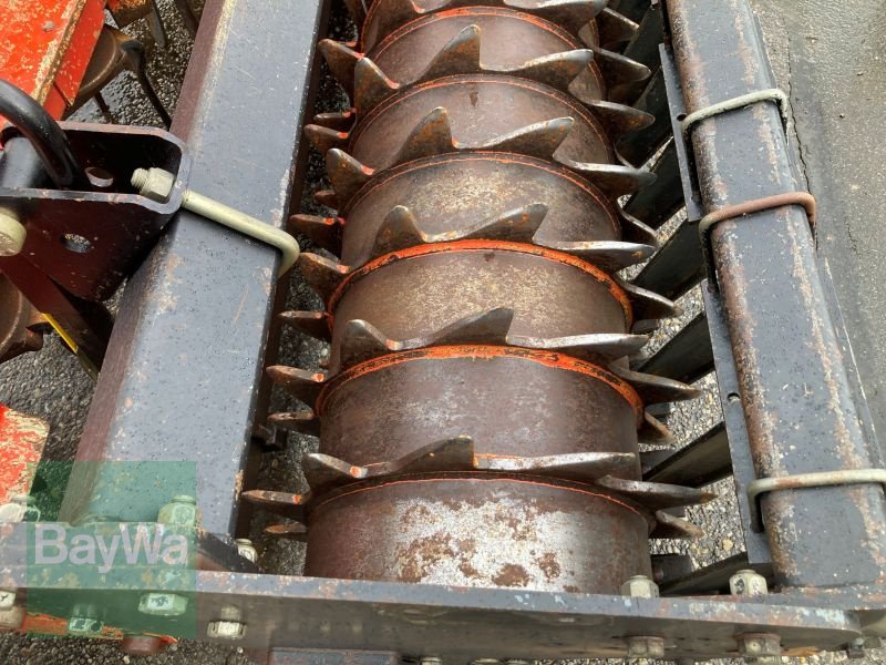 Kreiselegge tip Maschio DM RAPIDO PLUS, Gebrauchtmaschine in Eichendorf (Poză 6)