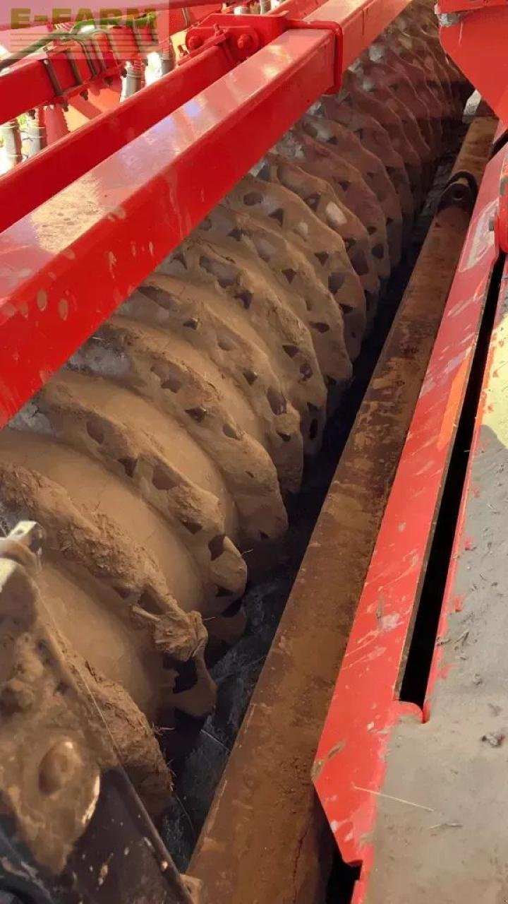 Kreiselegge del tipo Maschio herse rotative + semoir, Gebrauchtmaschine In ST ANDIOL (Immagine 3)