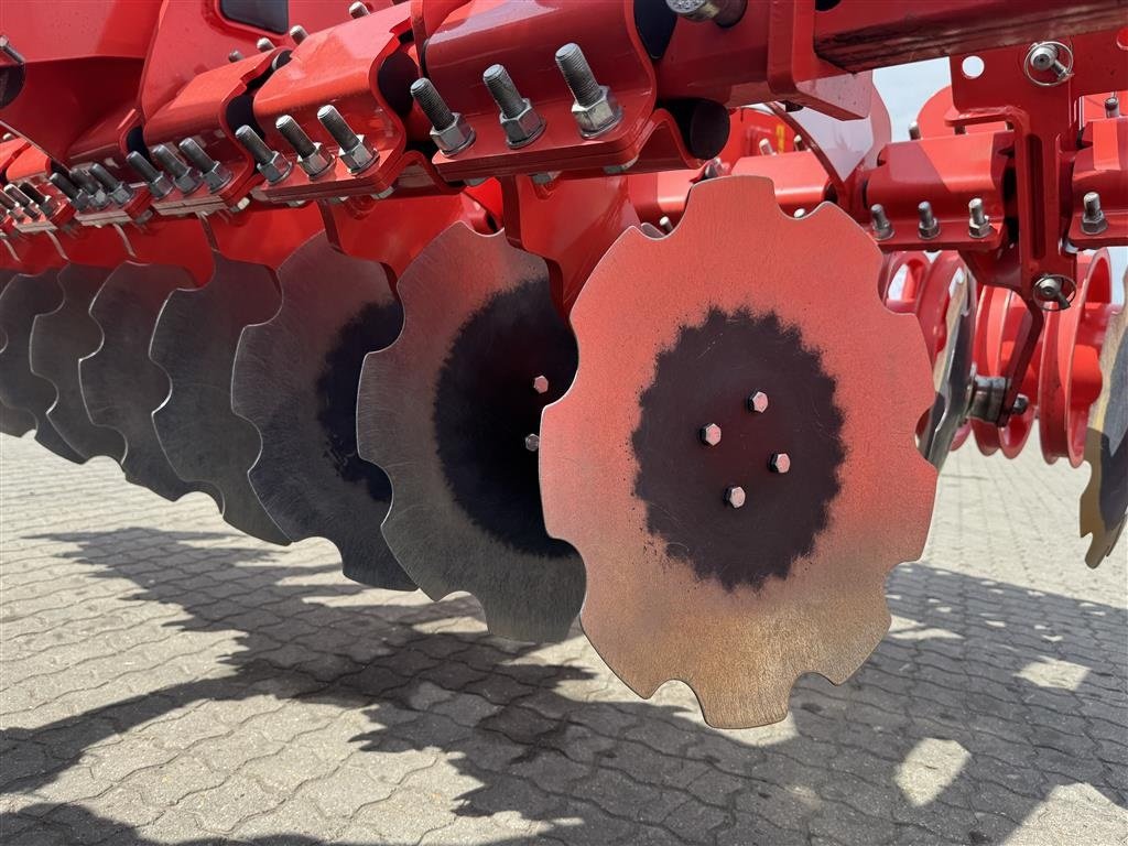 Kreiselegge des Typs Maschio Veloce KUN HARVET 30 HEKTAR!, Gebrauchtmaschine in Nørager (Bild 13)