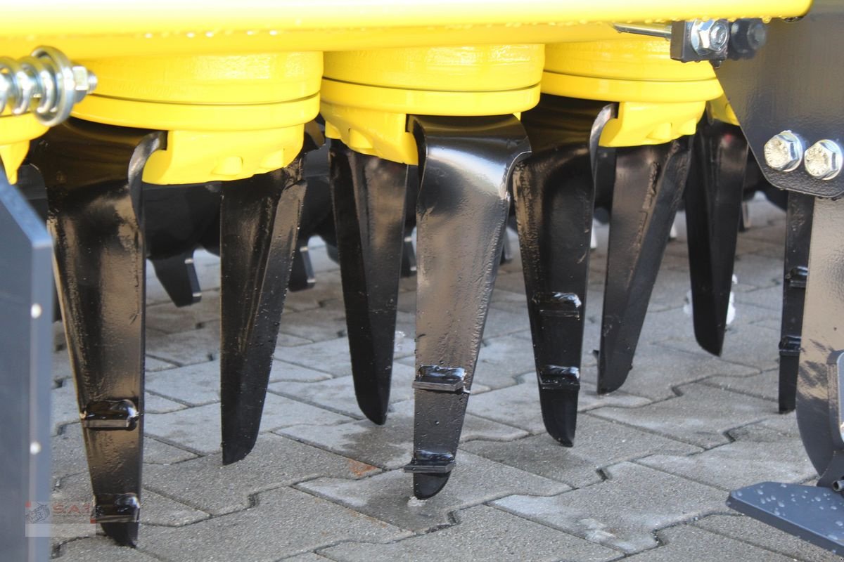 Kreiselegge of the type Moreni Kronos 3000 bis 260 PS-NEU, Neumaschine in Eberschwang (Picture 12)