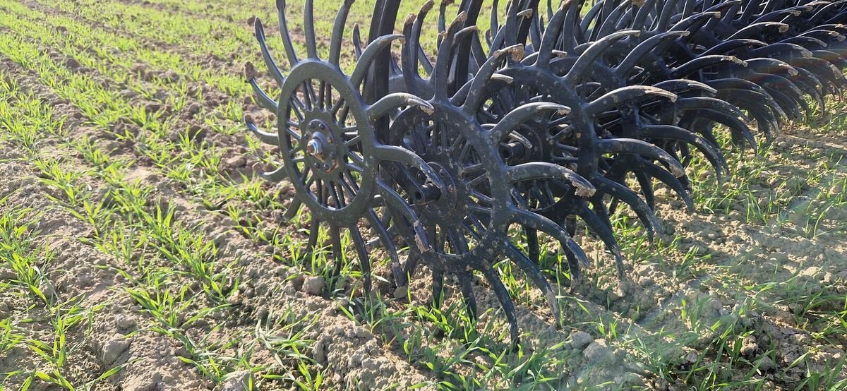 Kreiselegge typu Namyslo Rotorstriegel / rotary hoe, Neumaschine v Michałowo (Obrázek 2)