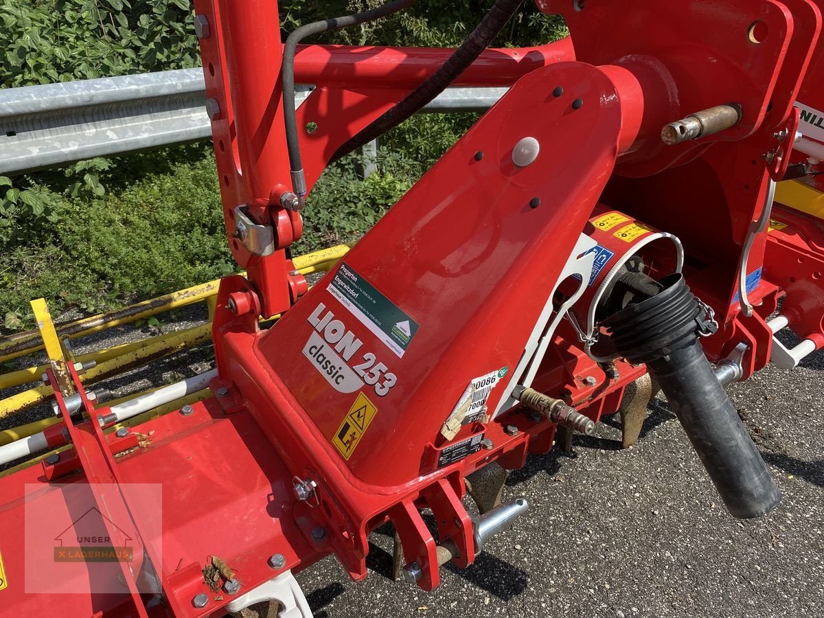 Kreiselegge Türe ait Pöttinger Kreiselegge Lion 253 Classic, Vorführmaschine içinde Wartberg (resim 3)