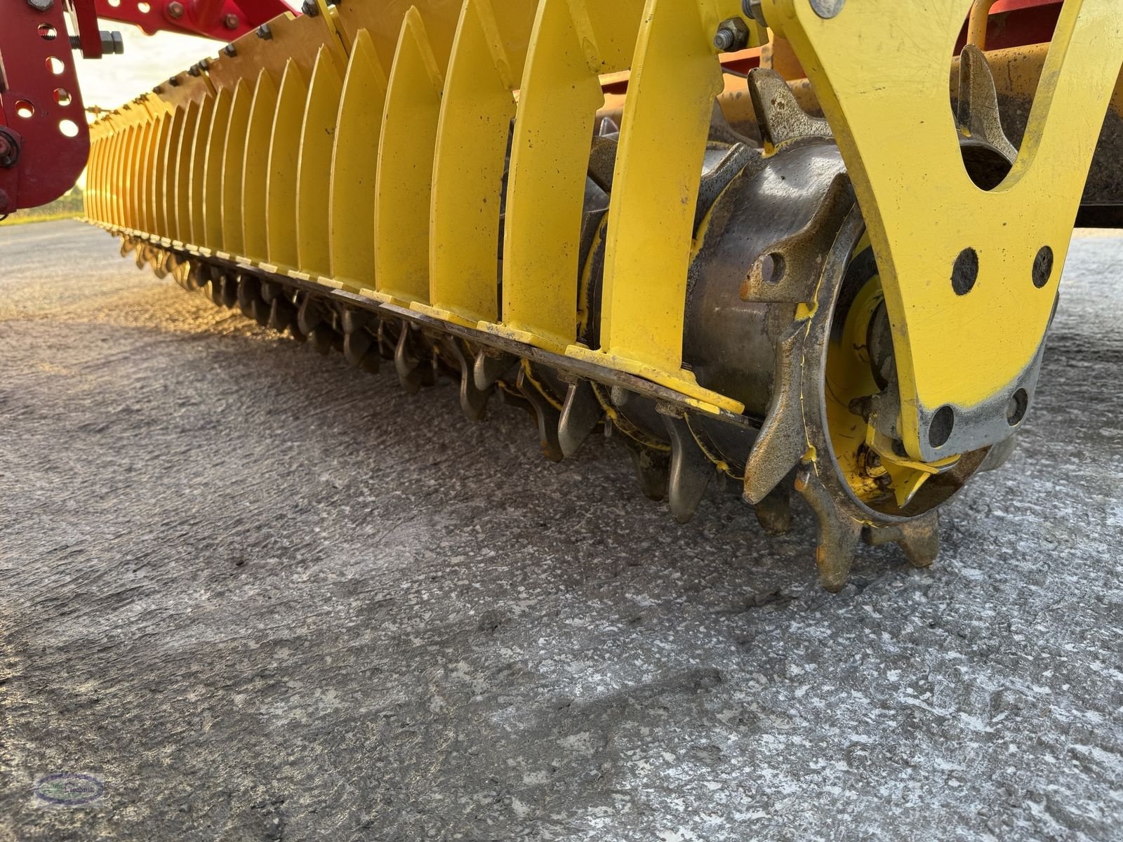 Kreiselegge des Typs Pöttinger Lion  300, Gebrauchtmaschine in Münzkirchen (Bild 5)