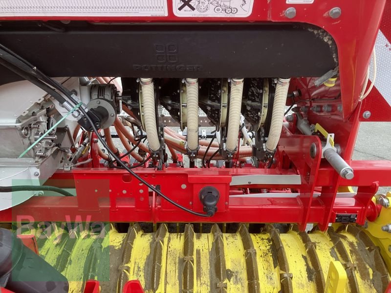 Kreiselegge типа Pöttinger LION 3002 PPW 600/12,5, Vorführmaschine в Bamberg (Фотография 3)