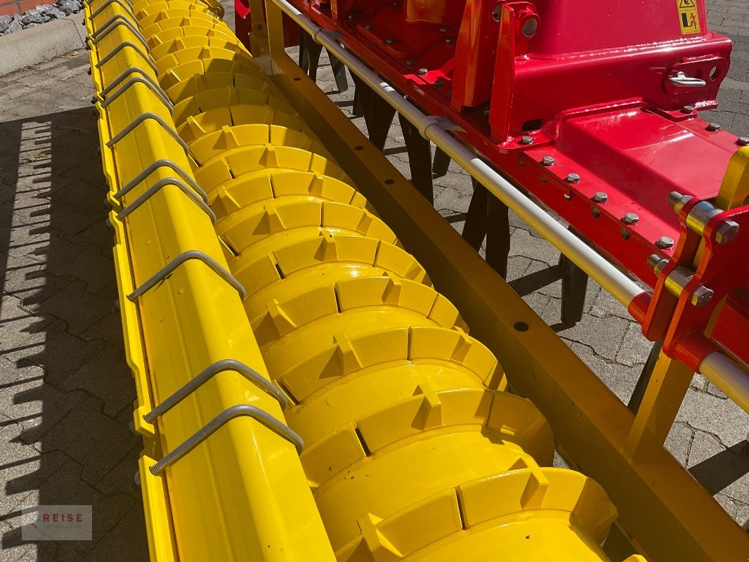 Kreiselegge Türe ait Pöttinger Lion 303, Neumaschine içinde Lippetal / Herzfeld (resim 5)